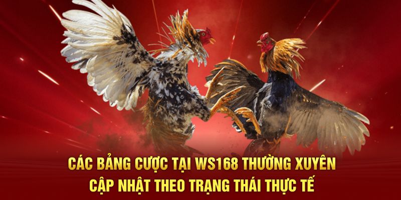 Các bảng cược tại ws168 thường xuyên cập nhật theo trạng thái thực tế