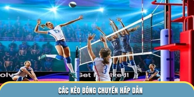 Các kèo bóng chuyền hấp dẫn