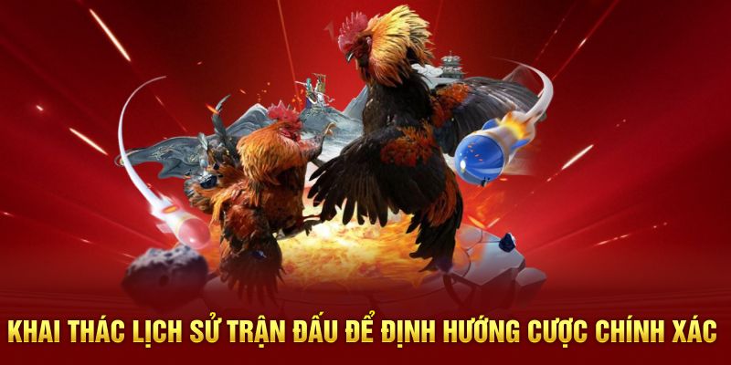 Khai thác lịch sử trận đấu để định hướng cược chính xác