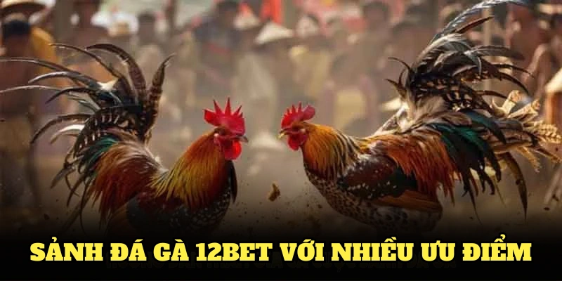 Sảnh đá gà 12BET với nhiều ưu điểm nổi bật nhất