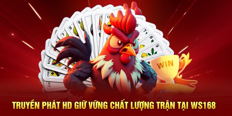 Truyền phát hd giữ vững chất lượng trận tại ws168 